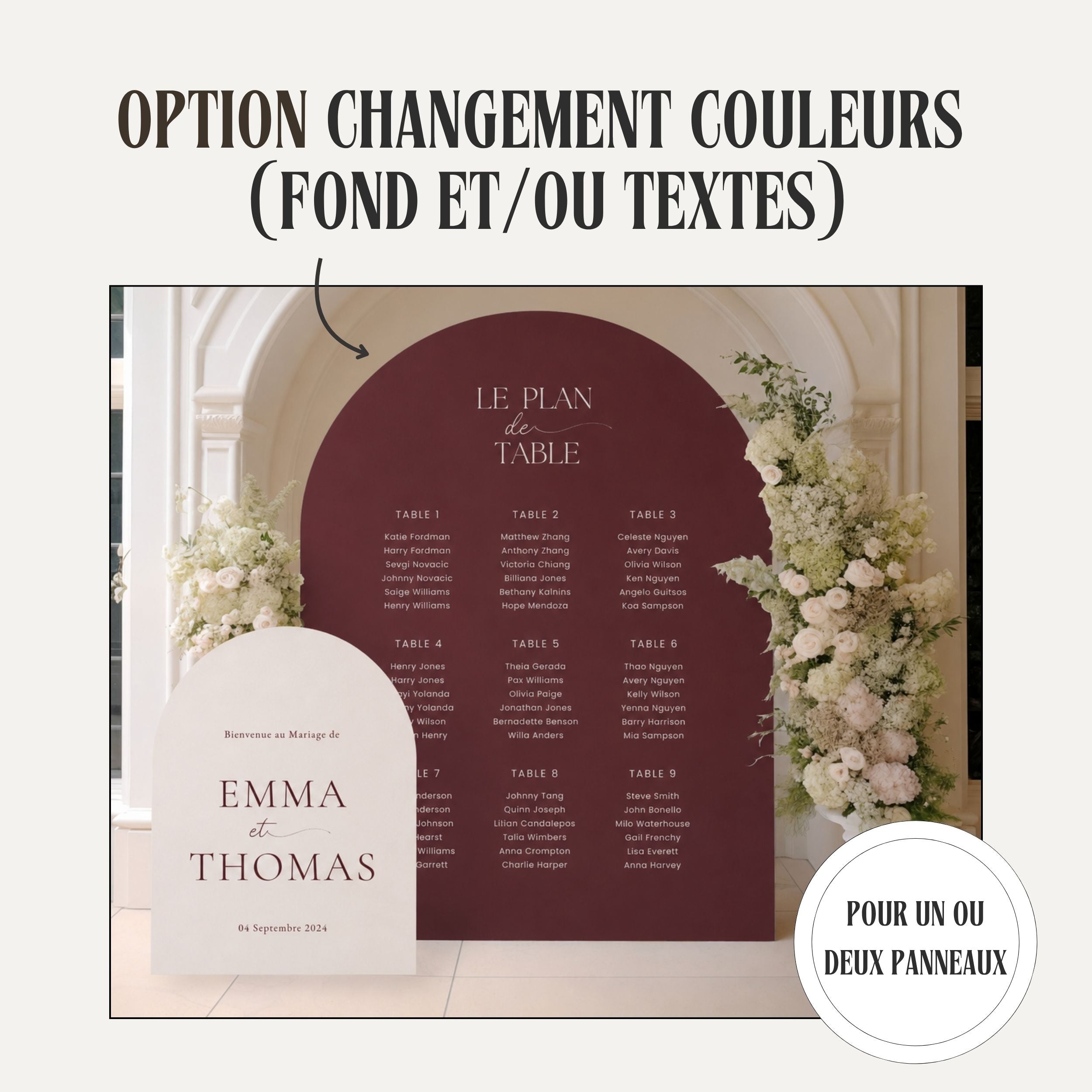 Changement de couleur panneau - Modèle existant